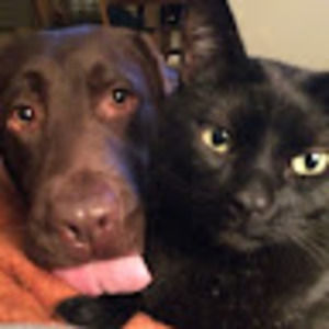 Meet your Posher, Meaghan